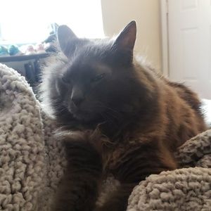 Meet your Posher, Zack